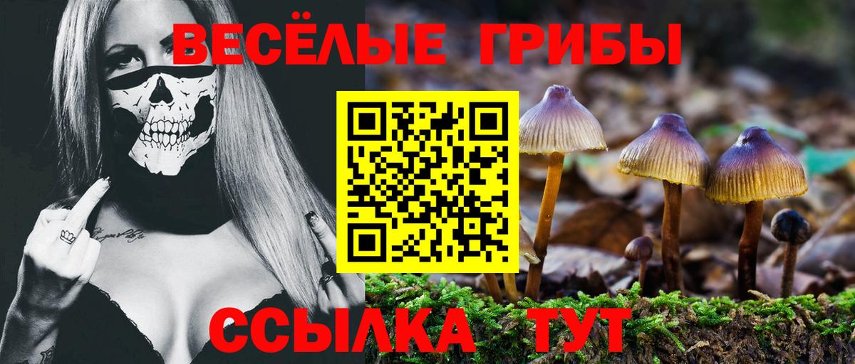 Галлюциногенные грибы GOLDEN TEACHER Ставрополь