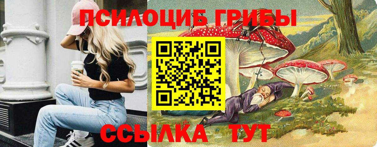 Ставрополь  Псилоцибиновые грибы Psilocybine cubensis  Вход с VPN 