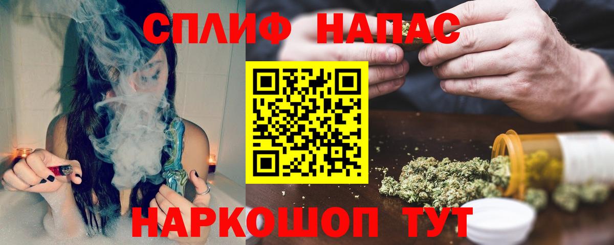Конопля конопля Ставрополь